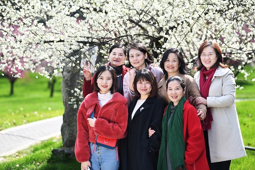 永利3044集团官网