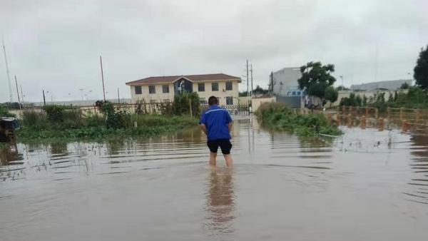 永利3044集团官网