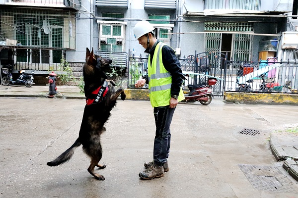 永利3044集团官网