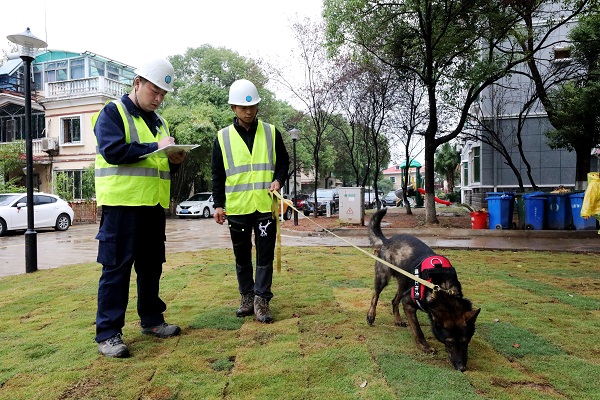 永利3044集团官网