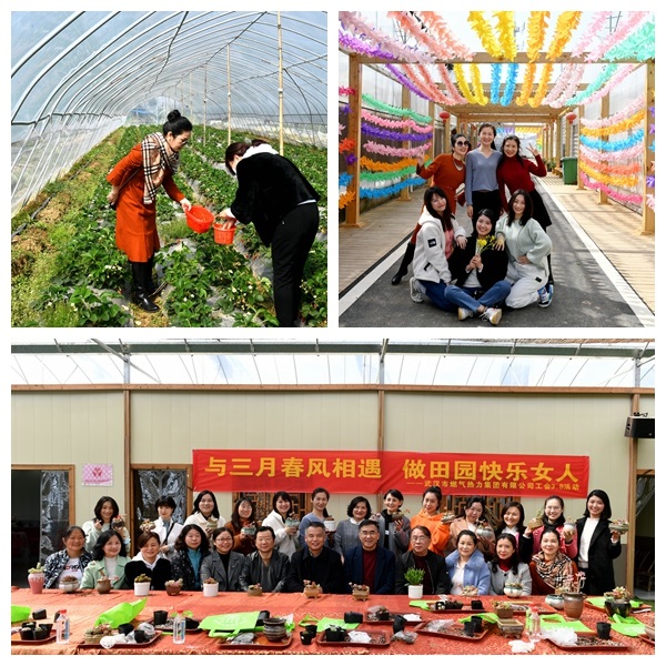 永利3044集团官网