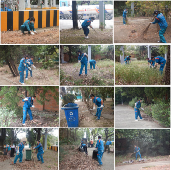 永利3044集团官网