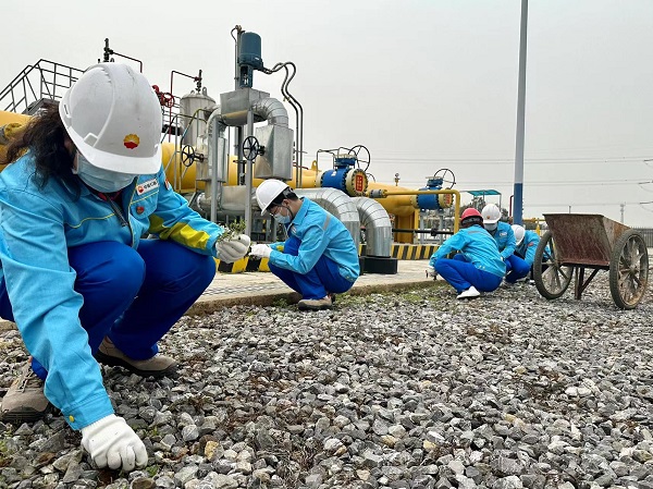 永利3044集团官网