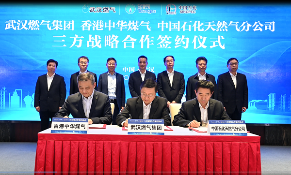 永利3044集团官网